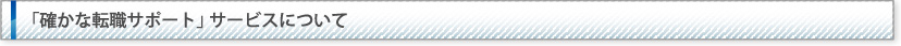 「確かな転職サポート」サービスについて
